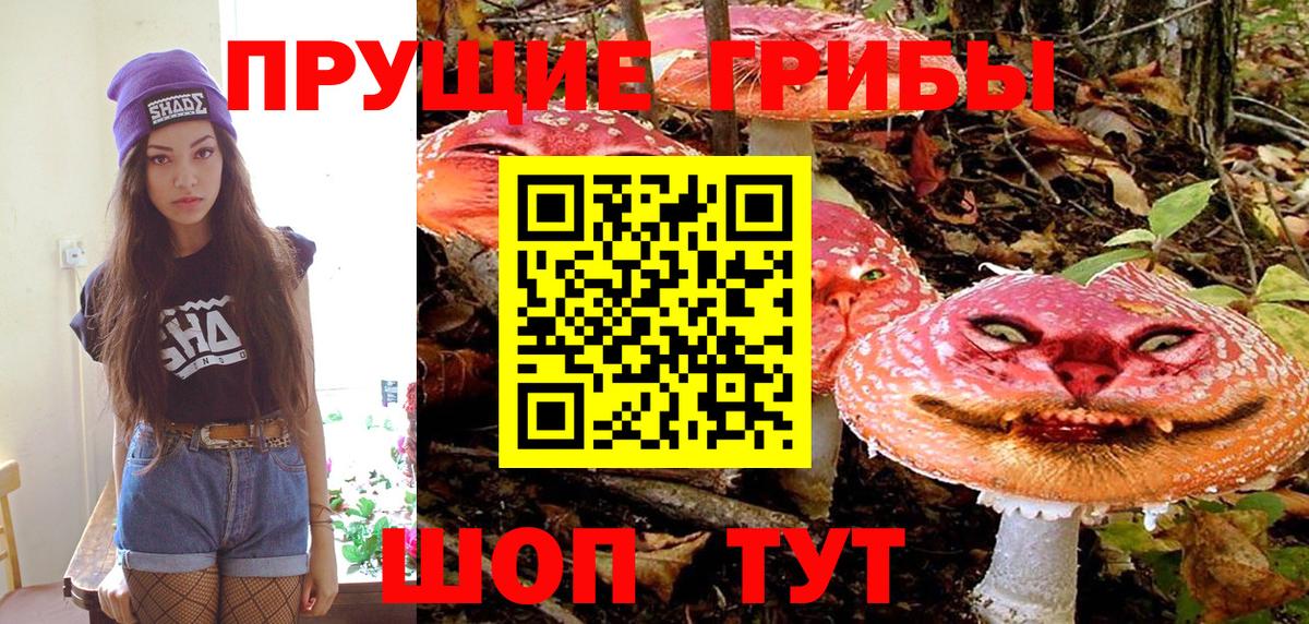 Псилоцибиновые грибы MAGIC MUSHROOMS  Псилоцибиновые грибы MAGIC MUSHROOMS  Вход с VPN  Мелеуз 